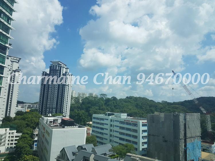 Hillview Regency (D23), Condominium #148569292